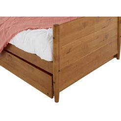 Mid-Century Castanho Twin Size Daybed with Twin Size Trundle Bed by Camaflexi -Camaflexi Shop castanho camaflexi daybeds md2009 1d 1000